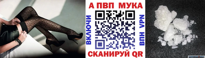 Альфа ПВП СК КРИС Шахты